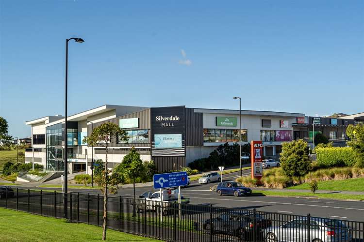 158 Pine Valley Road Dairy Flat_6