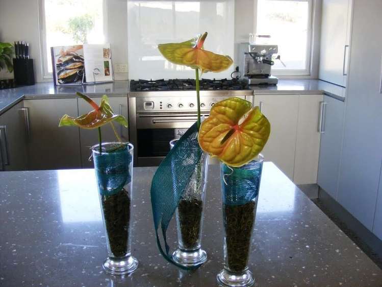 84 Sharon Road Waitoki_20