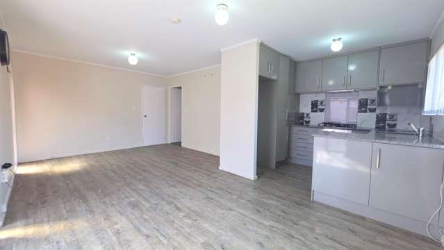 4/60 Nikau Street New Lynn_1