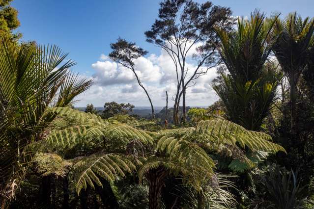 245 Scenic Drive Titirangi_3