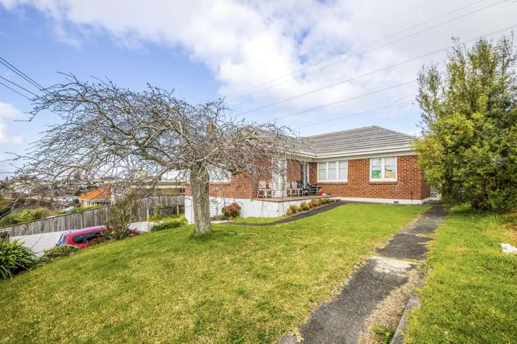 3 Locke Avenue Mount Roskill_9