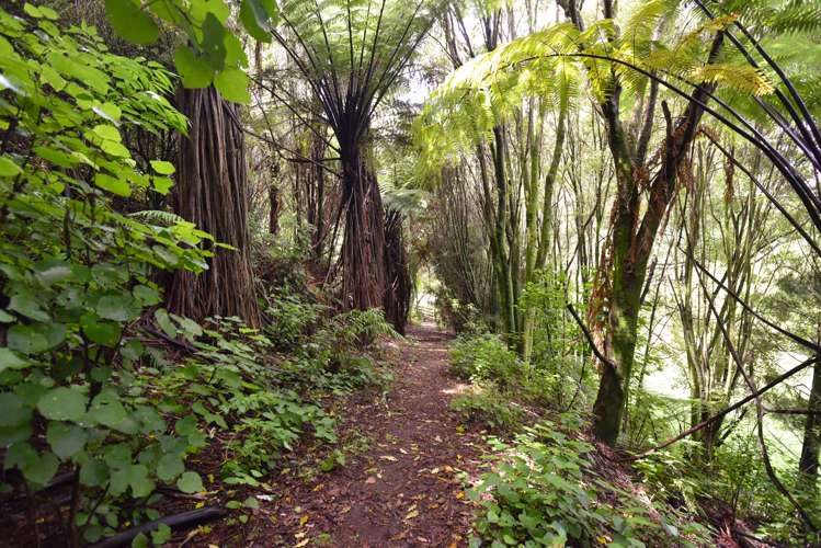 58 Ward Road, Road 7 Road 7_24