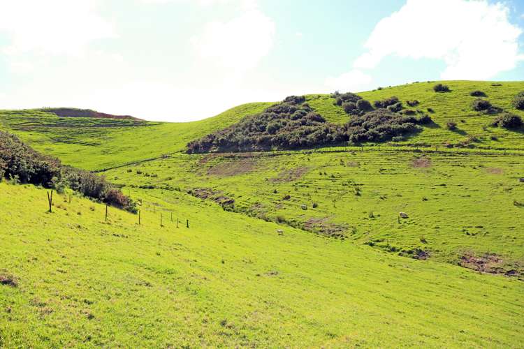 705 Whareora Road Whareora_5