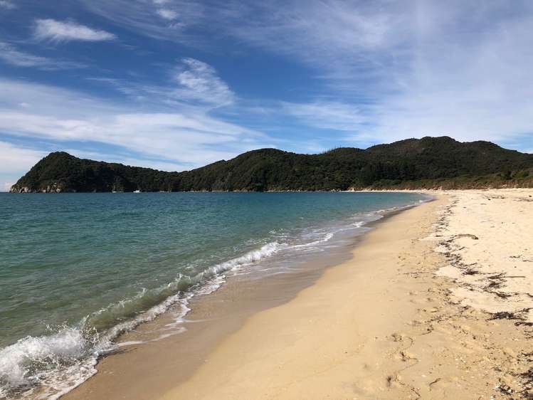 25 Awaroa Bay Awaroa Bay_2