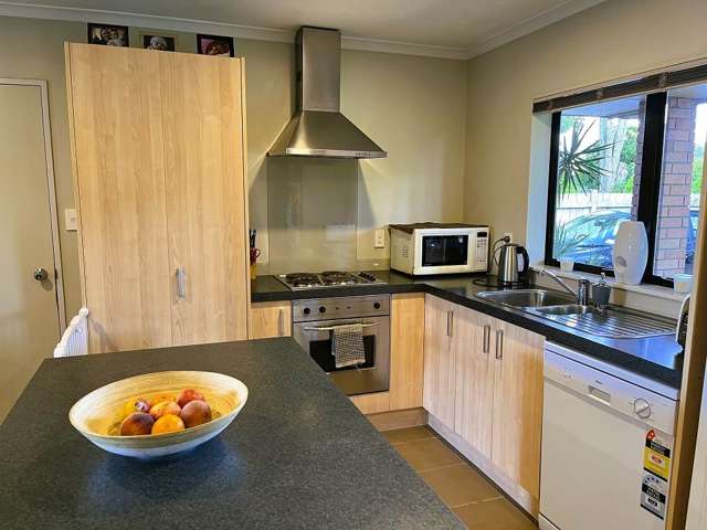 44b Church Street Tuakau_1