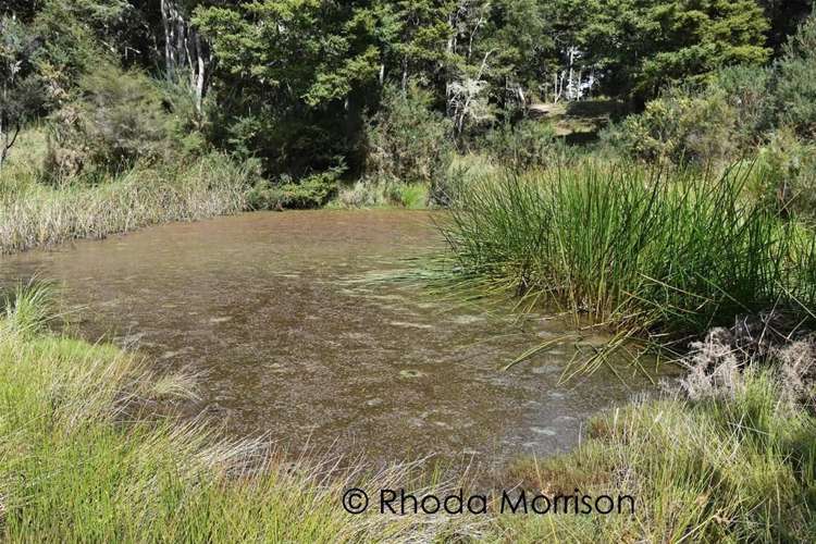 280 Central Road Mareretu_46