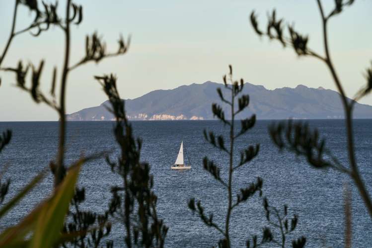 245 Matakana Road Warkworth_14