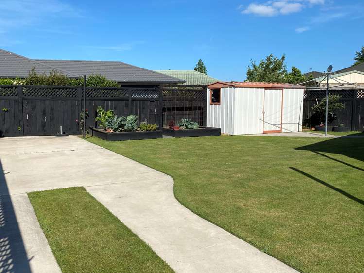 56 Highfields Drive Katikati_4