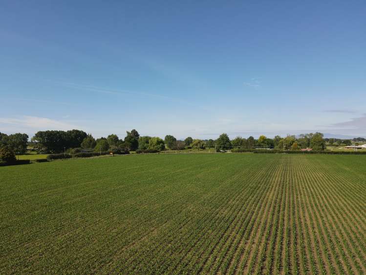 390 Marychurch Road Matangi_17