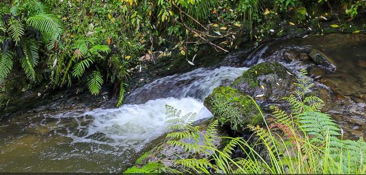 426 Pukeatua Road Ruapehu-King Country Surrounds_20