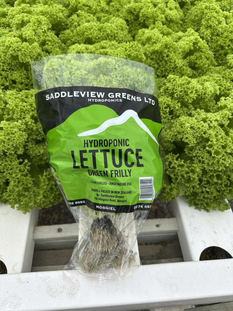 116 Wingatui Road Mosgiel_35