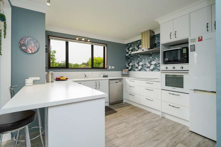 133 Kildare Drive Waikiwi_1