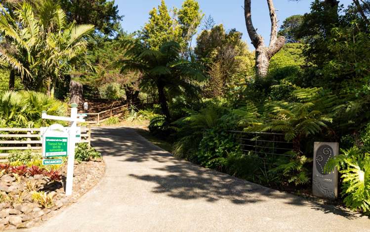 41 Medland Road Great Barrier Island_7