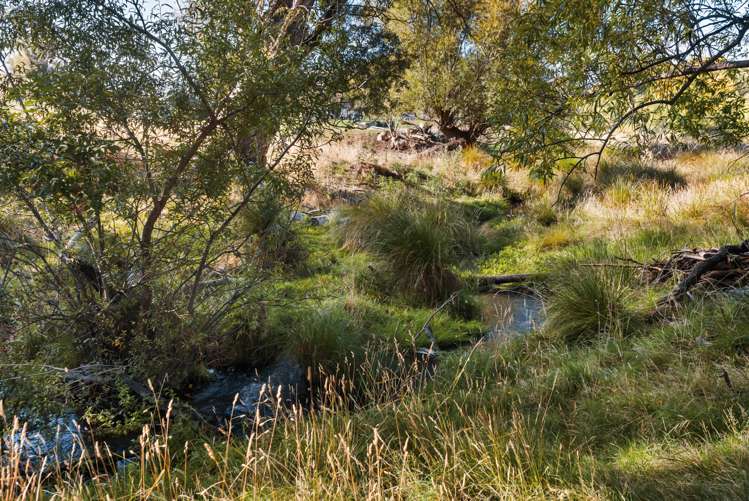 26 Gartley Lane Alexandra_24