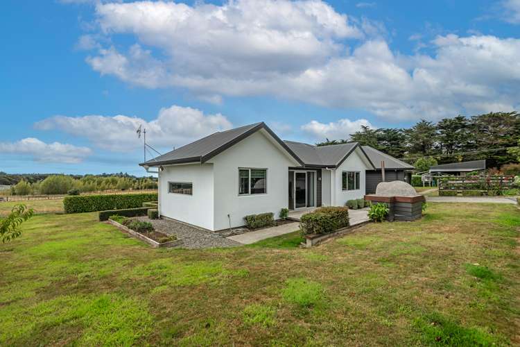 317c Mount Biggs Road Halcombe_29