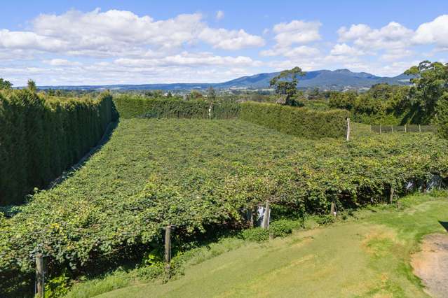 48B Tetley Road Katikati_2