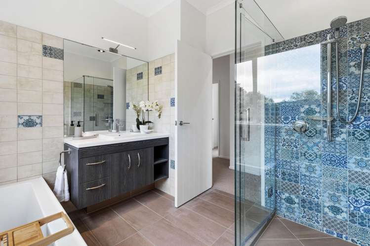 255 Austin Road Dairy Flat_21