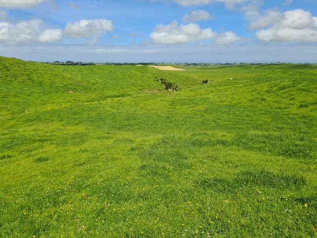 0n Parihaka Road Pungarehu_4