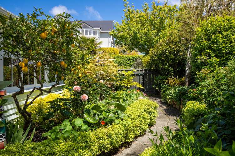 57 Mount Street Nelson South_9