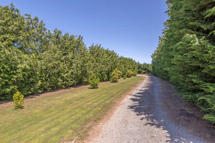 215 Harmans Road Leeston_1