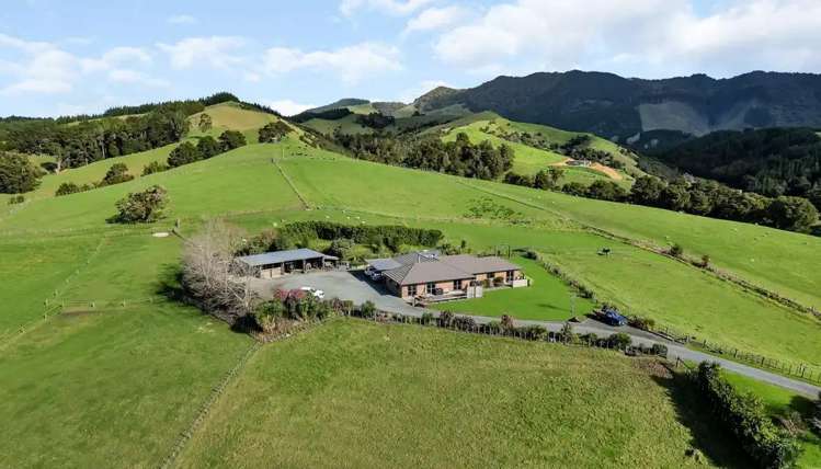 1488 Kirikopuni Valley Road_0