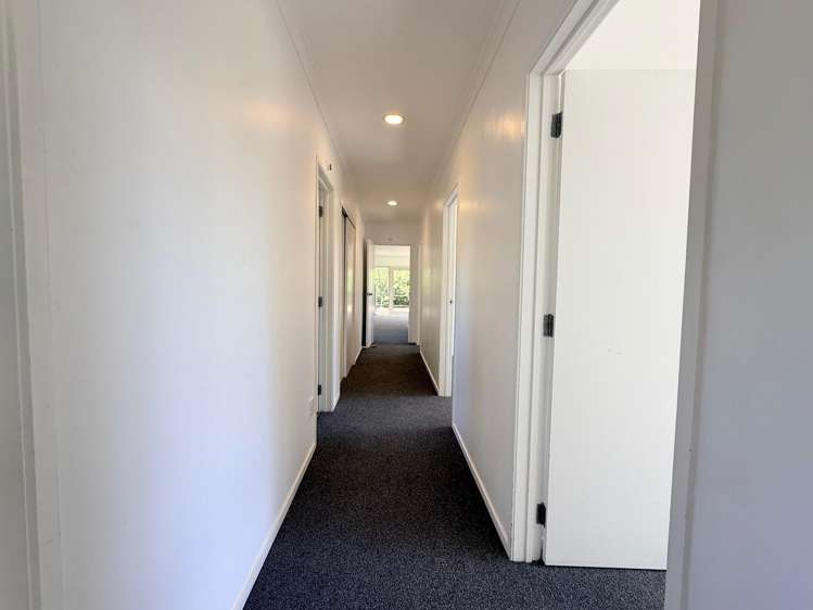 1164 No 3 Road Te Puke_21