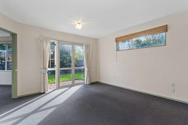 23 Somerfield Street Somerfield_5