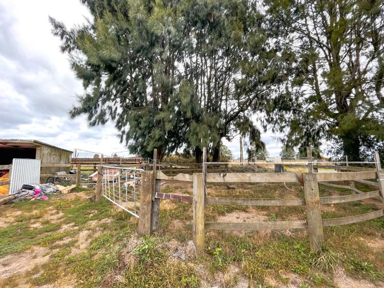 307 O'Donoghue Road Hauraki Surrounds_14