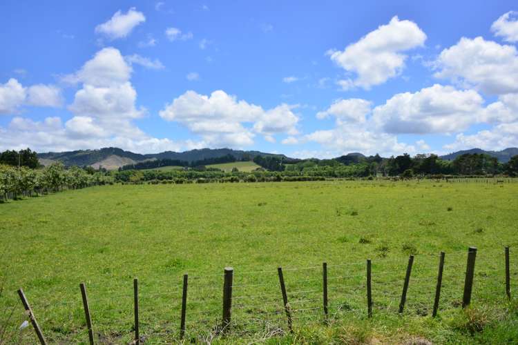 464 Woodcocks Road Warkworth_8