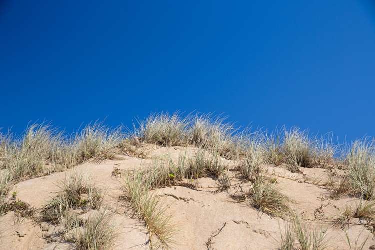 1905 Pataua North Road Pataua_17