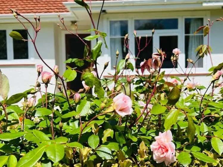 Lot 14, 1061 Makino Road Halcombe_14