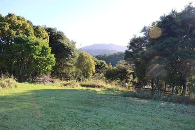 6 Harpoon Hill Great Barrier Island (Aotea Island)_4