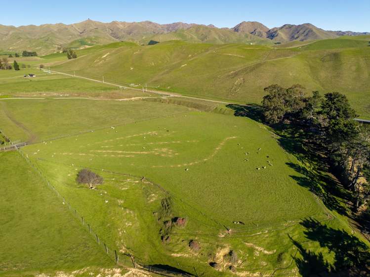 453 Tetley Brook Road Seddon_46