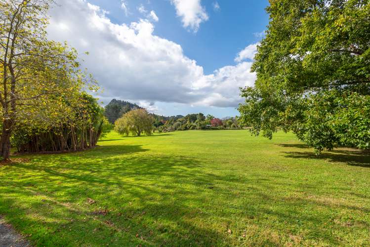 221 Blackbridge Road Dairy Flat_11