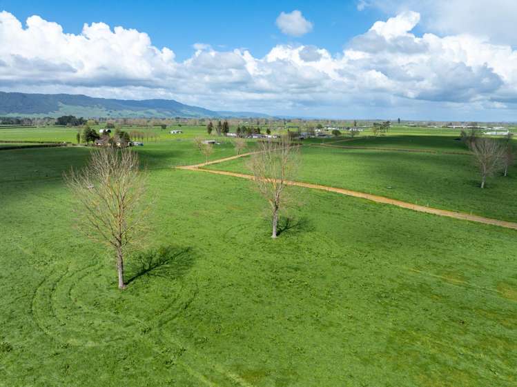 353 Maiseys Road, Waharoa Matamata_17