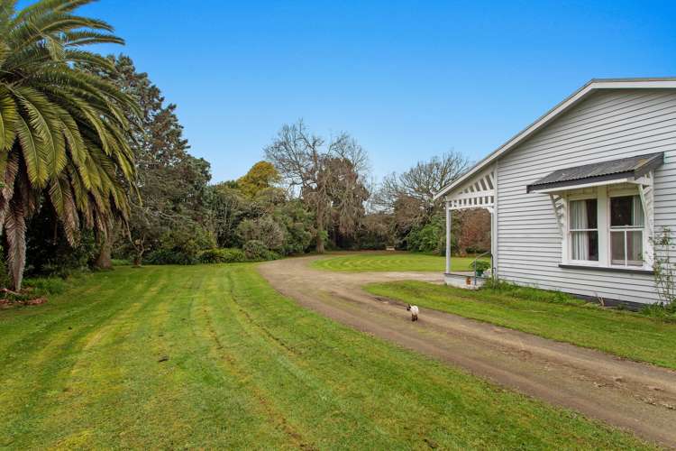 174 Gow Road Opotiki Coastal_5