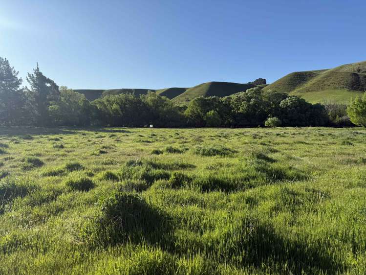 633 Ardgour Road Tarras_21