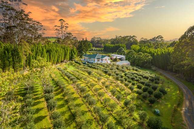 Kerikeri Lifestyle Dream