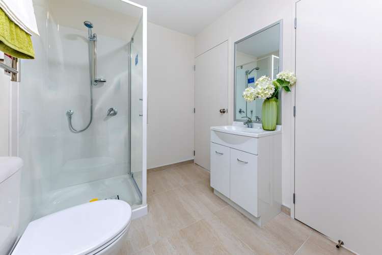 71 Divide Loop Takanini_10