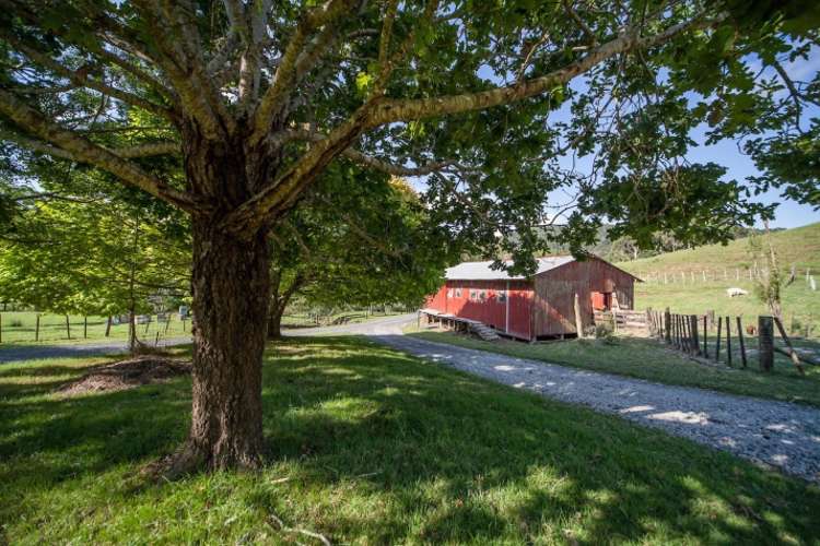 325 State Highway 1 Warkworth_29