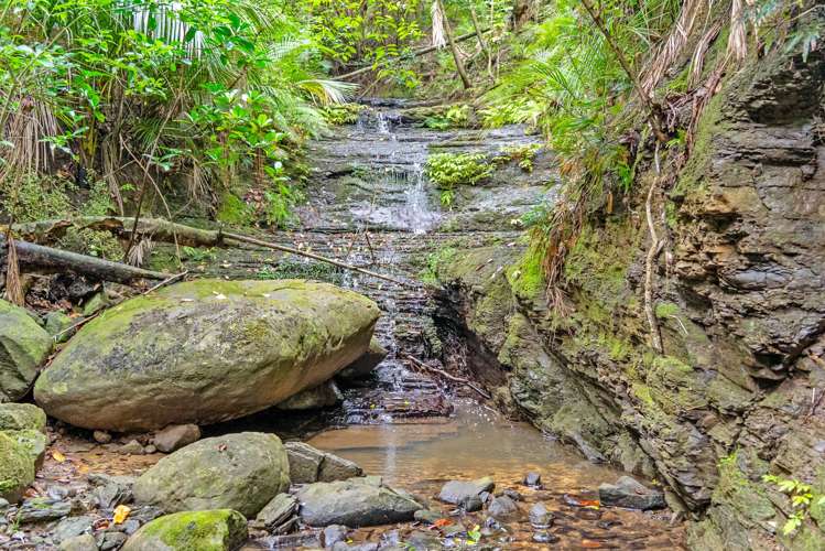 59 Ashton Road & Birdsall Road, Whangateau Leigh_10