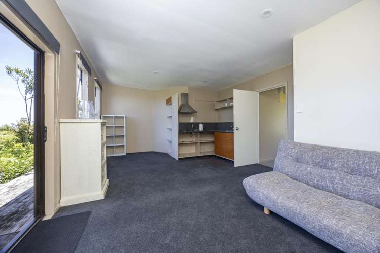 16 Log Race Road Piha_15