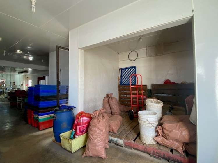 Shop 1/200 Wairakei Road Bryndwr_6