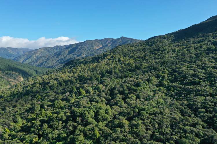 196 Griffiths Road Ruatoria_7