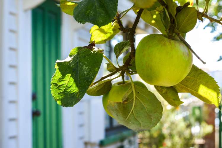 11 Bartlett Street Riccarton_20