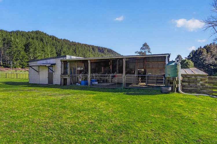 1513 Hikumutu Road Taumarunui_6