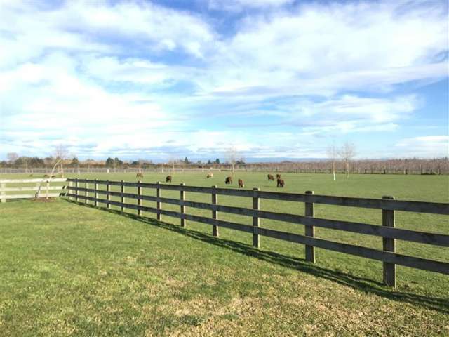 25 Evenden Road 10499_3