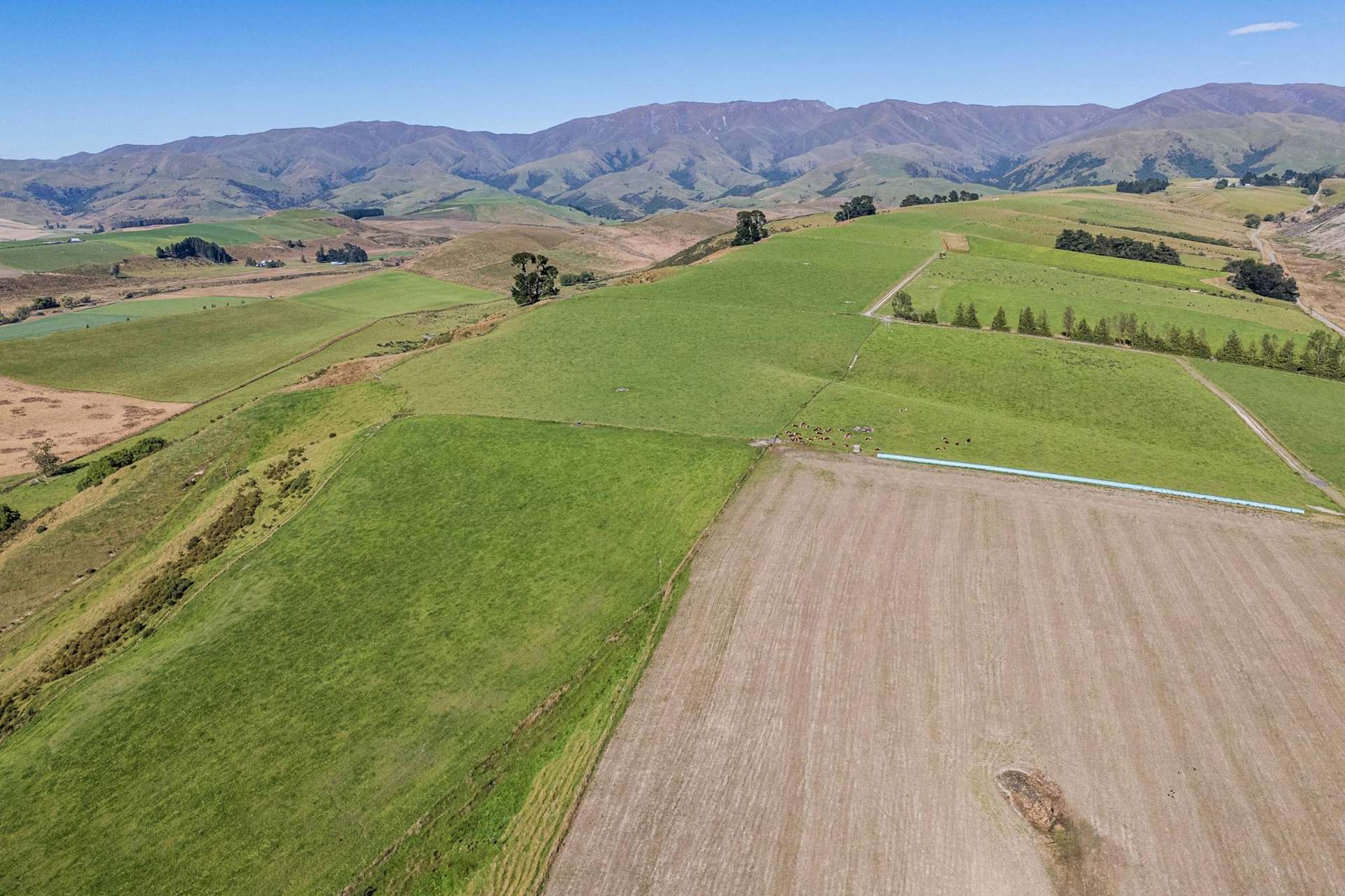 61 Howells Road Maungati_0