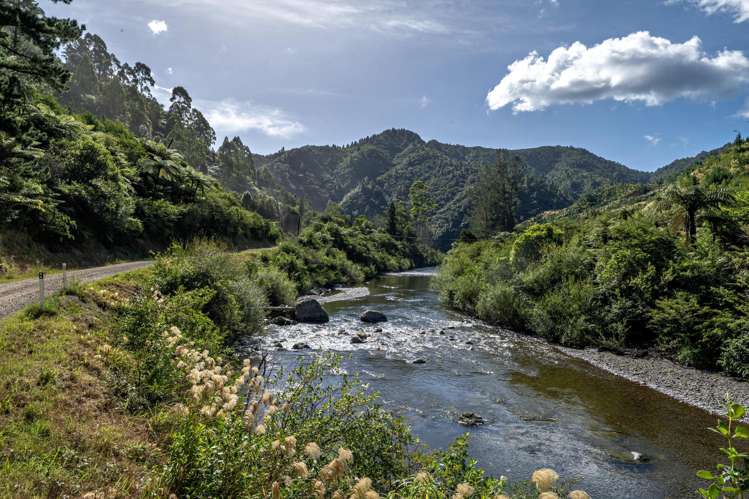 250 Pakihi Road Opotiki_48