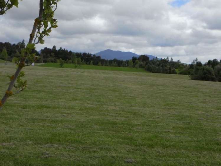 9 Eagle Place Martinborough_9